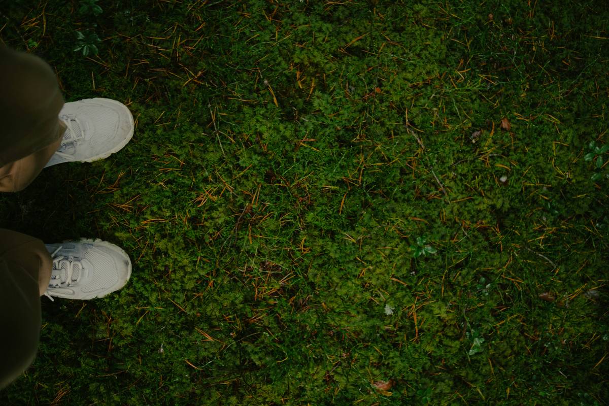 Embracing the Grounded Buddhify Zen Approach: A Path to Mindful Living