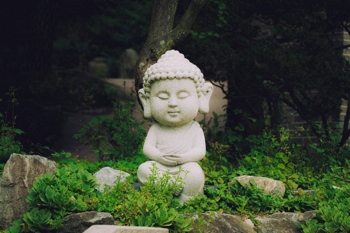 Embracing the Reassuring Buddhify Presence: A Journey to Mindful Living