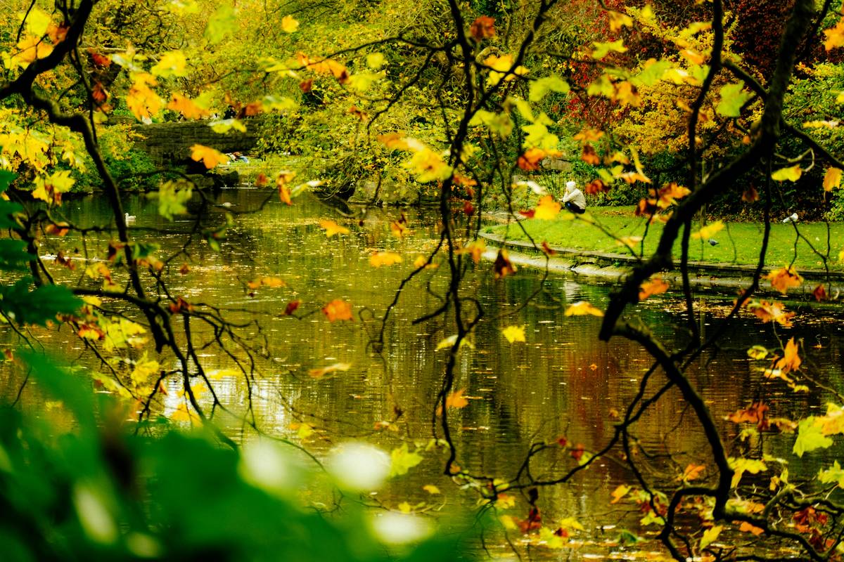 Find Instant Buddhify Calm: A Mindful Journey to Inner Peace