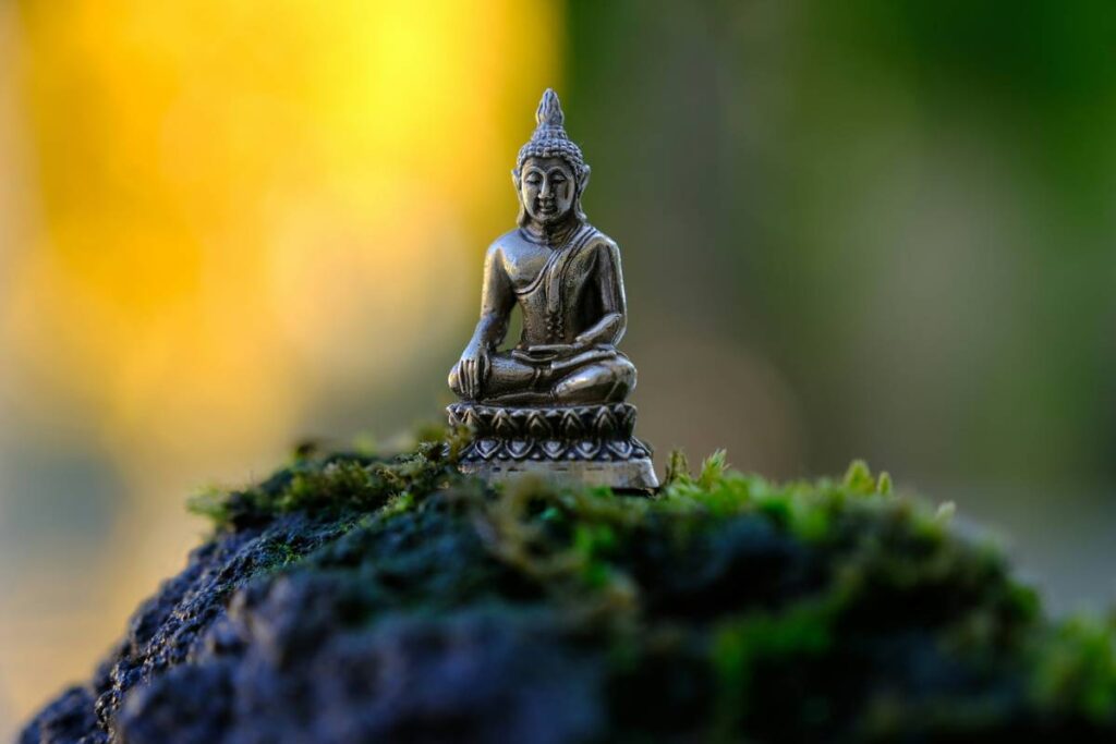 How to Find Zen Harmony in a Chaotic World with Buddhify