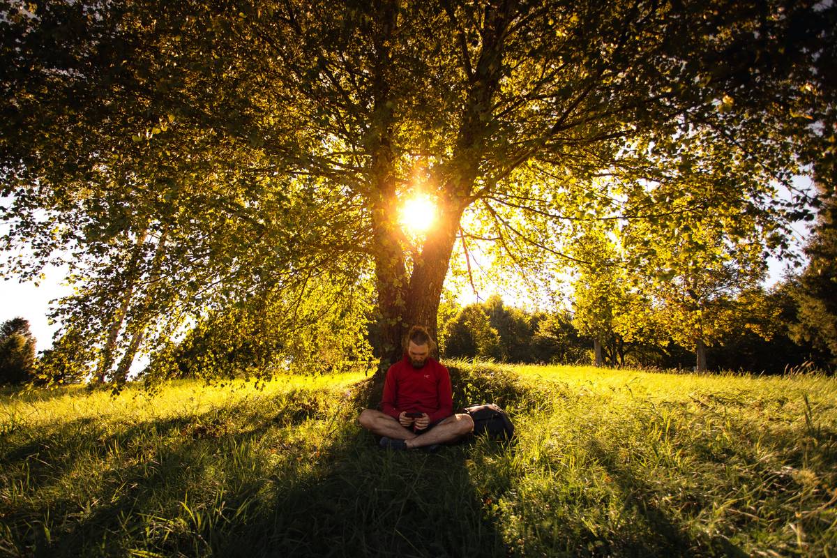 How to Master Meditation During Day: A Buddhify Guide to Mindful Living