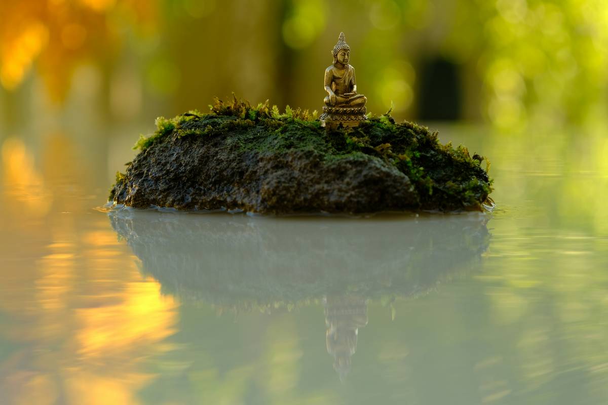 How to Master Zen Daily Practice with Buddhify: Your Pocket-Sized Path to Mindfulness