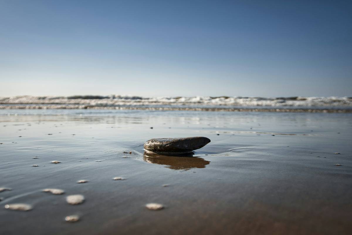 How to Master Zen Simplicity with Buddhify: The Ultimate Guide