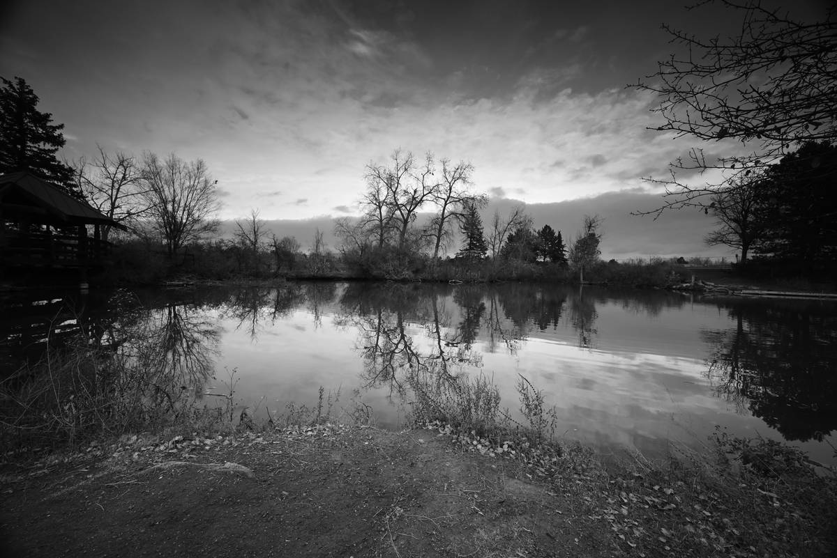 Master Zen Clarity with Buddhify: Your Ultimate Guide to Mindful Living