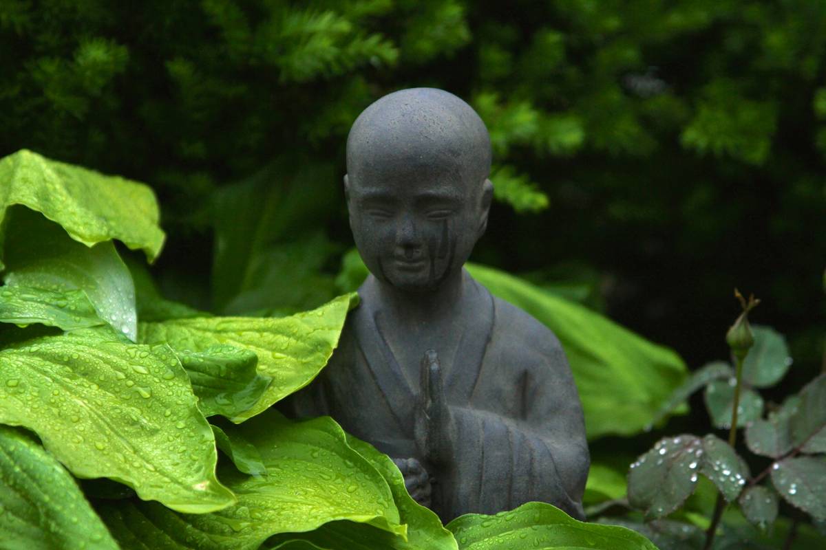 Mastering Daily Buddhify Zen Practice for a Calmer Mind