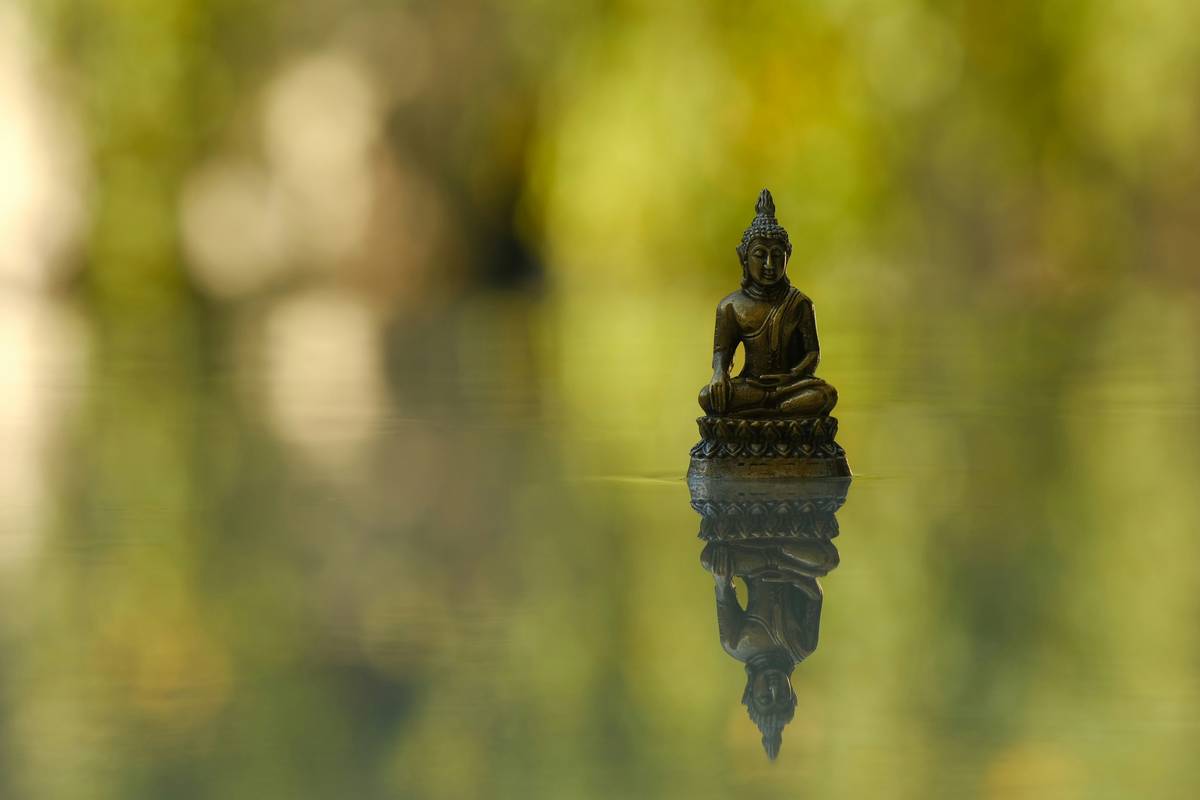 Mastering Your Mindful Buddhify Zen Routine: A Journey to Inner Peace