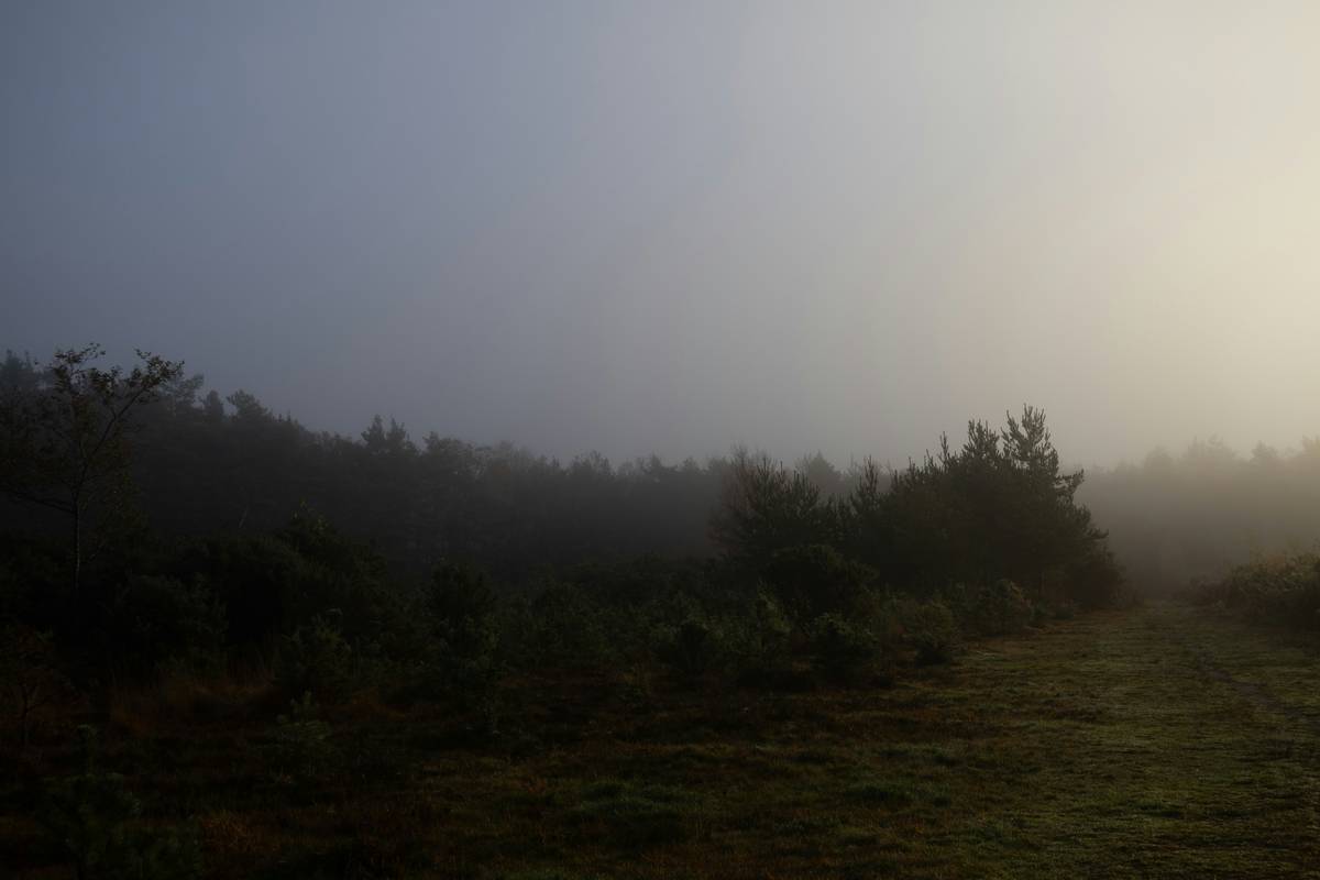 Comparison table showing free vs. paid features of the Buddhify app, including guided meditations, sleep sounds, and customizable options.