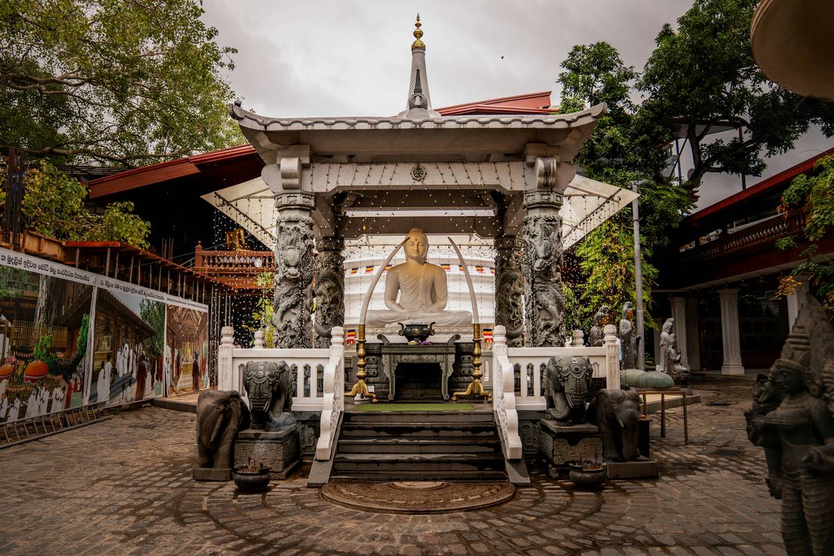 Step-By-Step Buddhify Zen: A Mindful Journey to Inner Peace