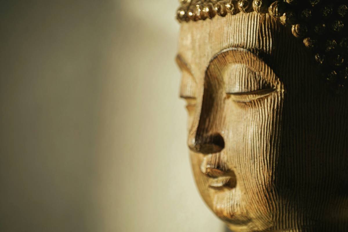 Your Ultimate Awareness-Based Buddhify Guide: Meditate Your Way to Mindfulness