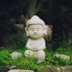 Unlocking Calm: Your Ultimate Guide to Micro Buddhify Meditations